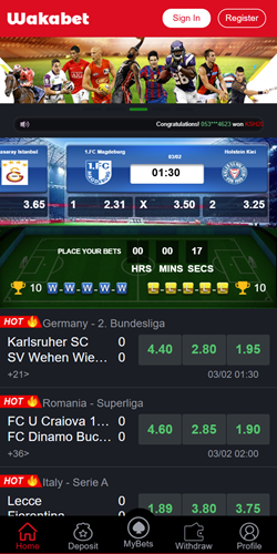 Wakabet Kenya Mobile App